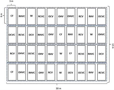 Effect of cover crops mixtures on weed suppression capacity in a dry sub-humid environment of Argentina